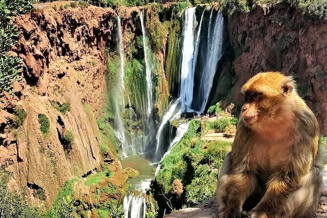 Private Ouzoud Waterfalls Day Trip from Marrakech