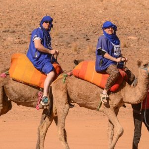 Quad & Camel Ride in Agafay Desert – Private Experience