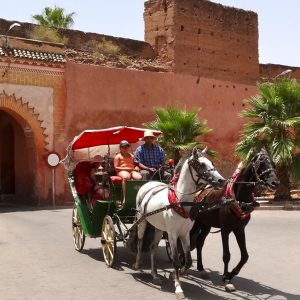 Marrakech Horse Carriage Ride (Calèche Tour in the Medina)